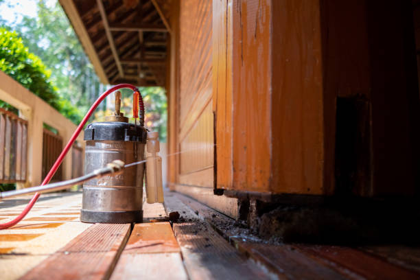 Best Mosquito Control Services  in Kula, HI